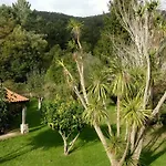 Ferienhaus Os Salguieiros