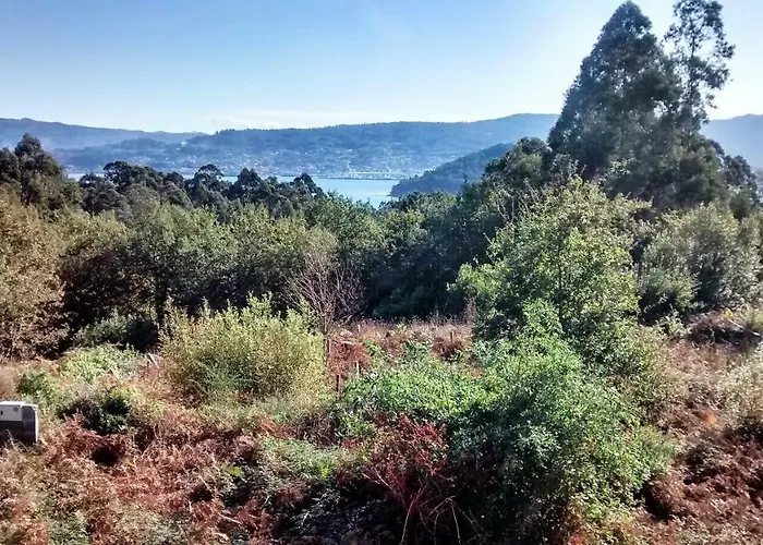 Os Salguieiros Tatil Evi *