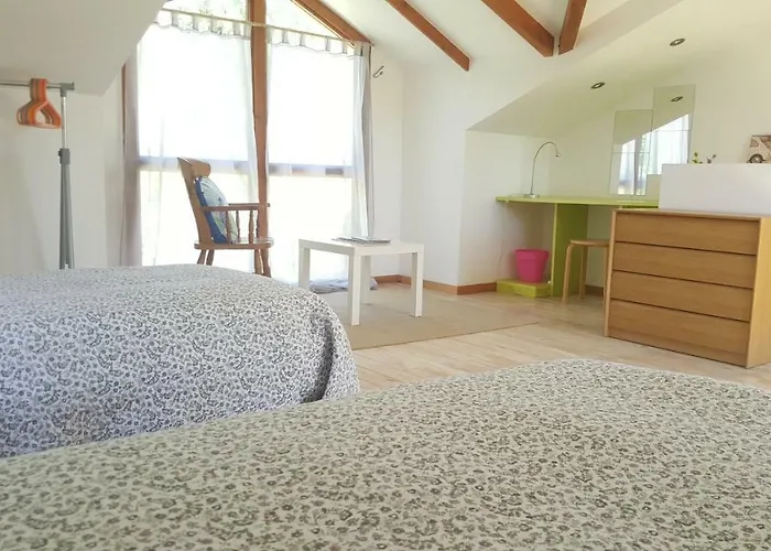 Os Salguieiros Tatil Evi