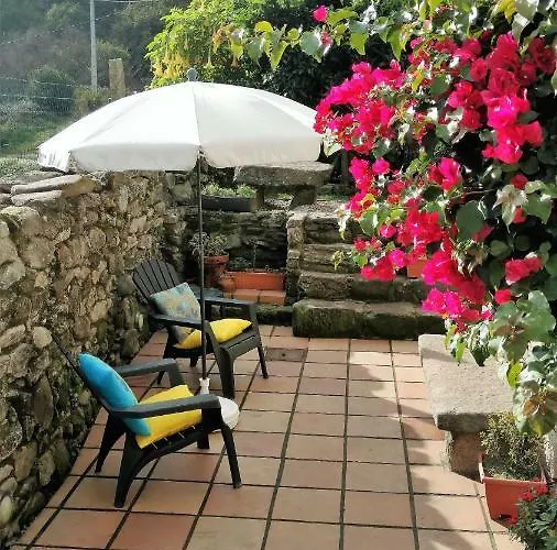 Os Salguieiros Tatil Evi