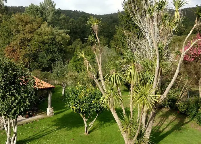 Tatil Evi Os Salguieiros